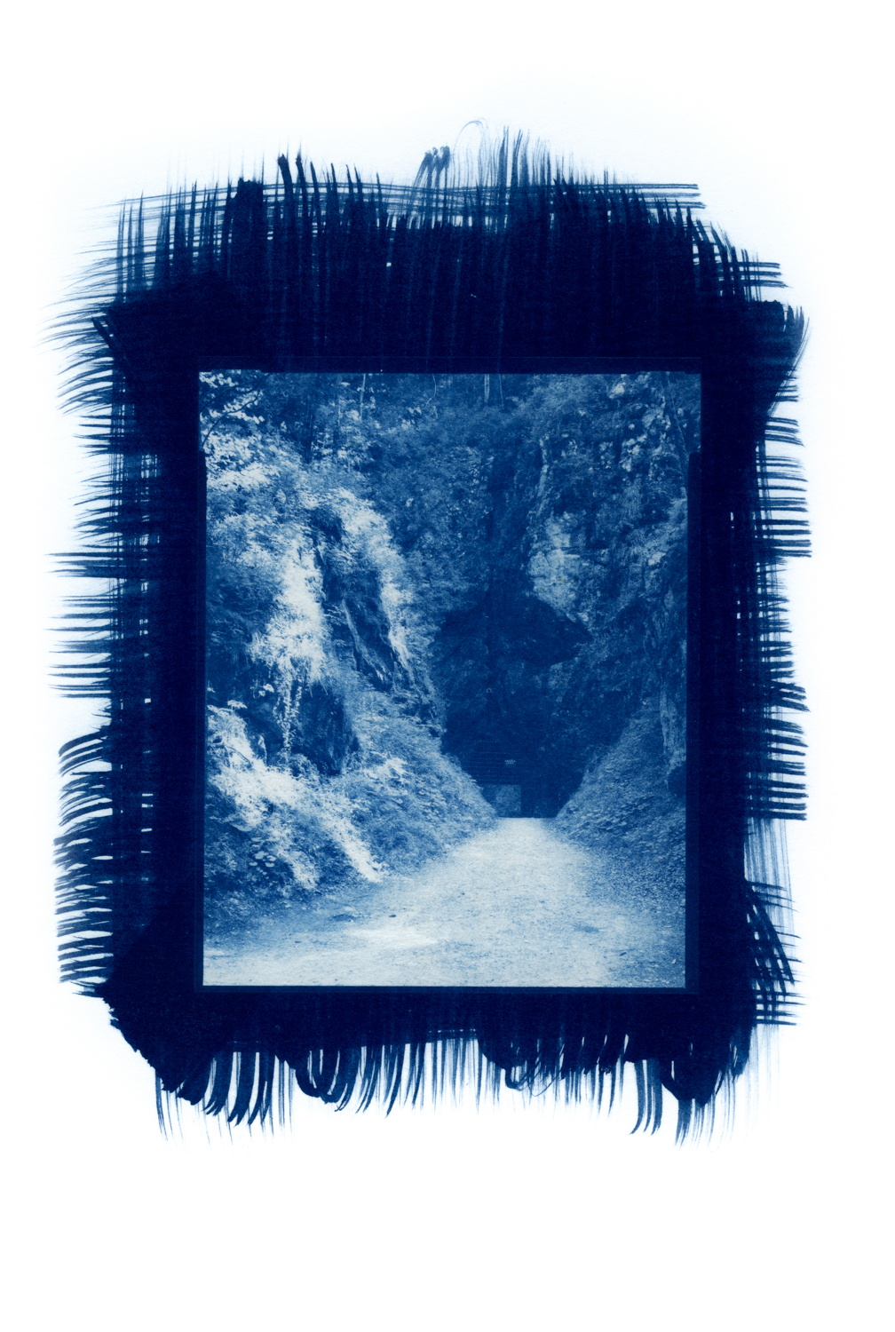 cianotipicno_10