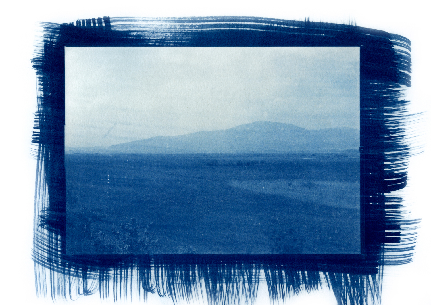 cianotipicno_14