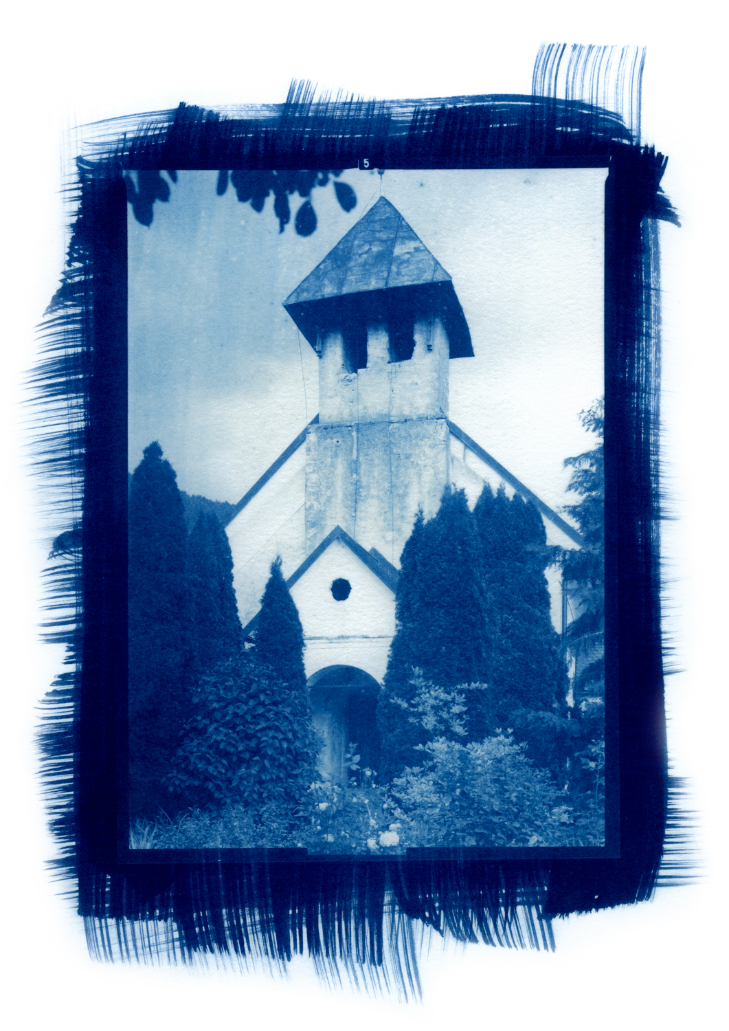 cianotipicno_3
