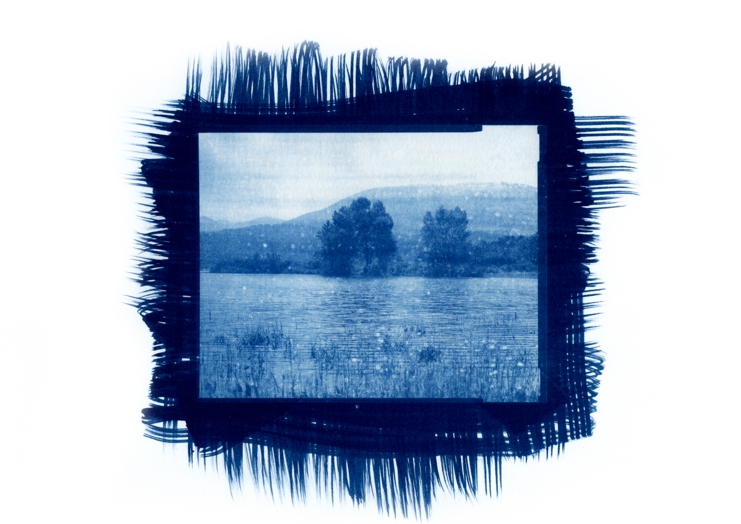 cianotipicno_5