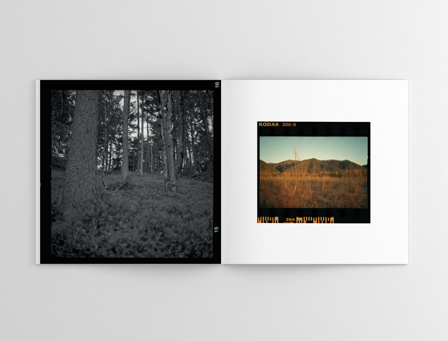 lastframe_2