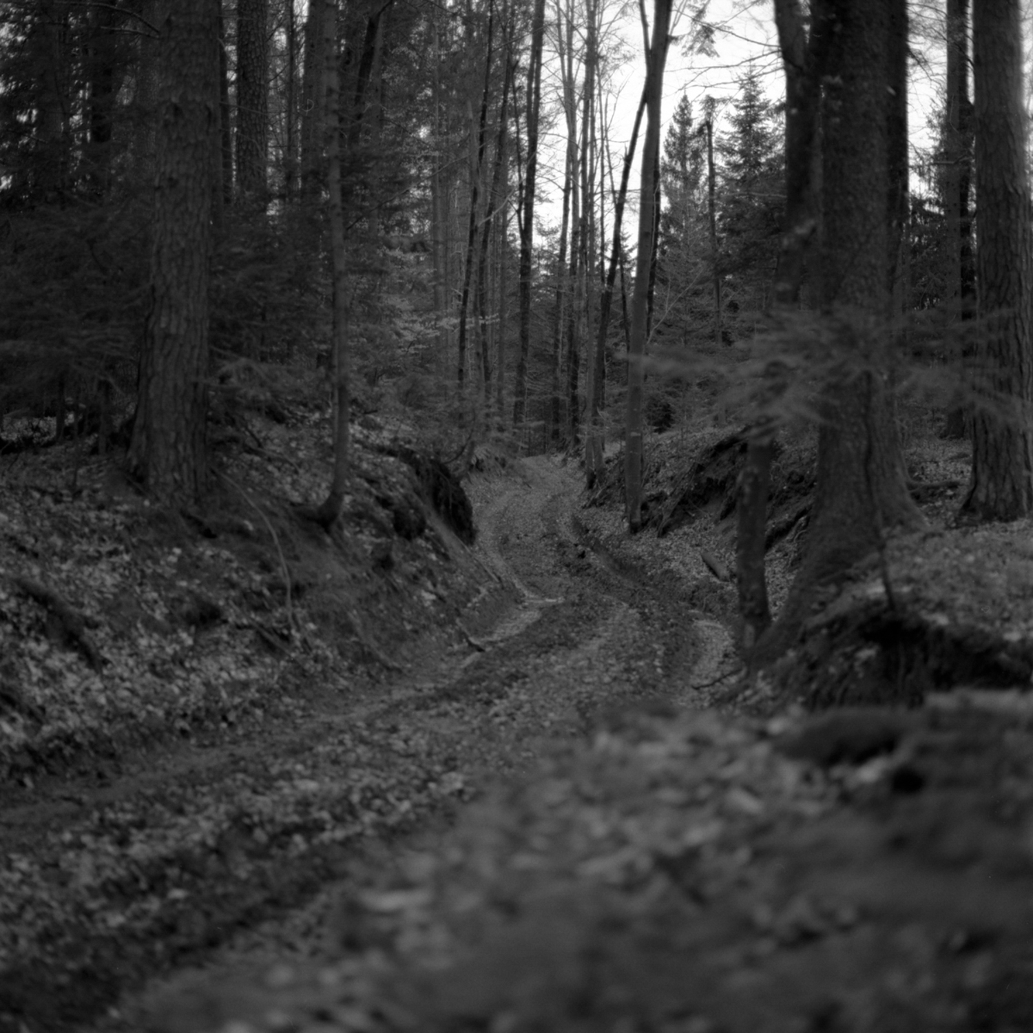slovenia_43