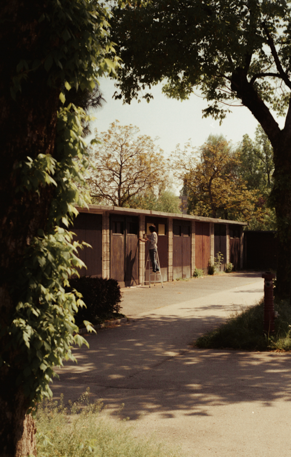 street_5