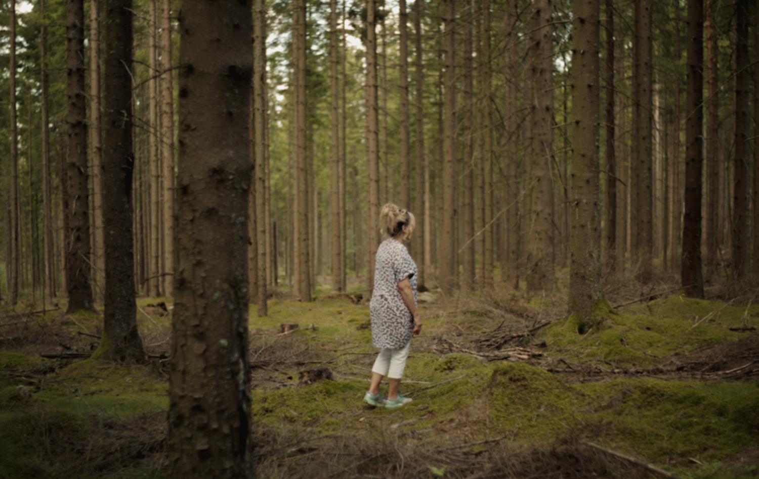 sweden_21